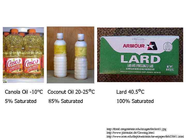 Canola Oil -10°C Coconut Oil 20 -25°C Lard 40. 5°C 5% Saturated 100% Saturated