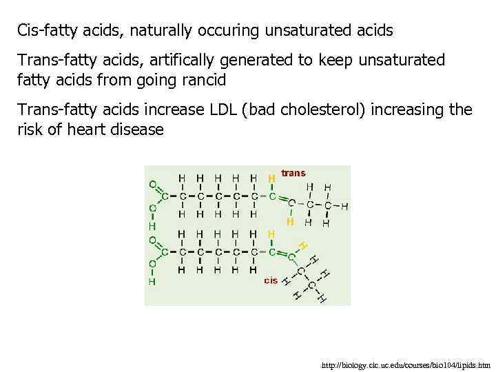 Cis-fatty acids, naturally occuring unsaturated acids Trans-fatty acids, artifically generated to keep unsaturated fatty