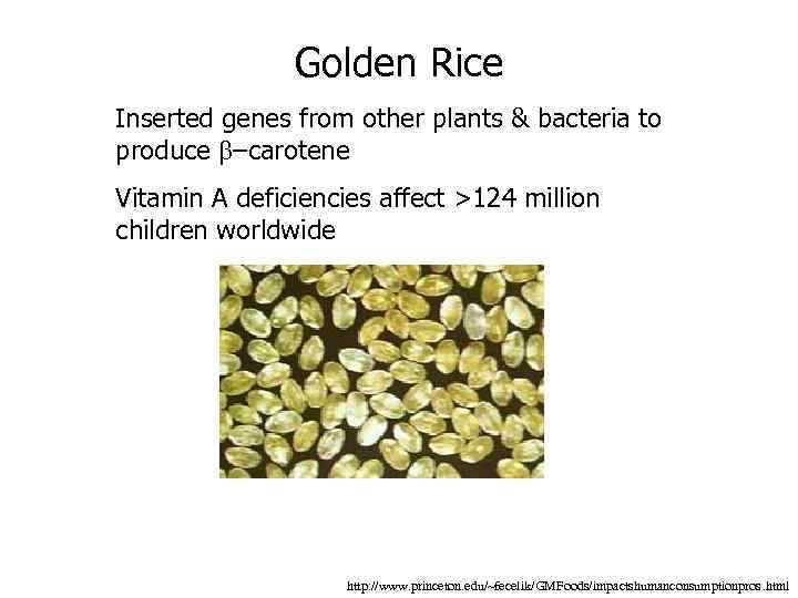 Golden Rice Inserted genes from other plants & bacteria to produce –carotene Vitamin A