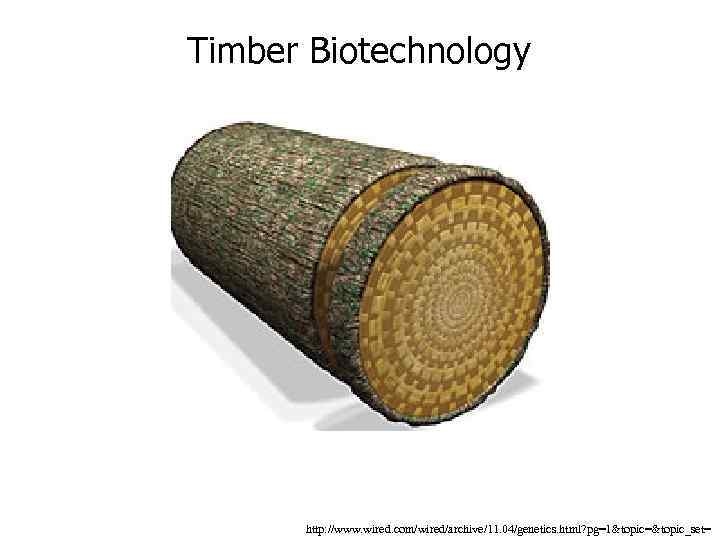 Timber Biotechnology http: //www. wired. com/wired/archive/11. 04/genetics. html? pg=1&topic=&topic_set= 