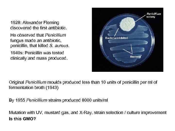 1928: Alexander Fleming discovered the first antibiotic. He observed that Penicillium fungus made an