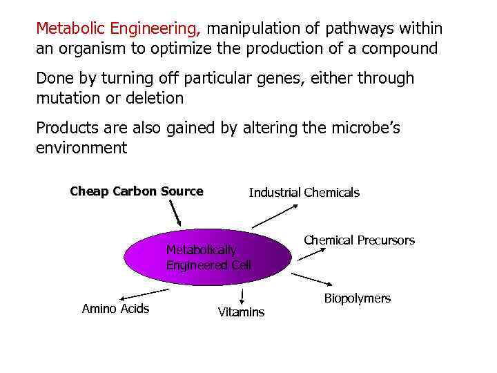 Metabolic Engineering, manipulation of pathways within an organism to optimize the production of a