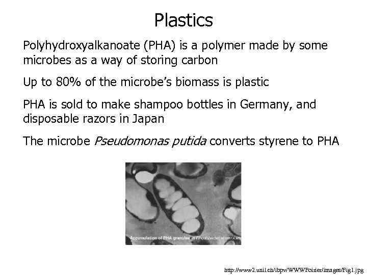 Plastics Polyhydroxyalkanoate (PHA) is a polymer made by some microbes as a way of