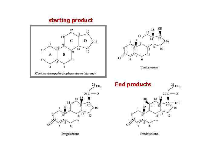 starting product End products 