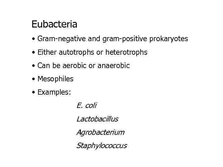 Eubacteria • Gram-negative and gram-positive prokaryotes • Either autotrophs or heterotrophs • Can be