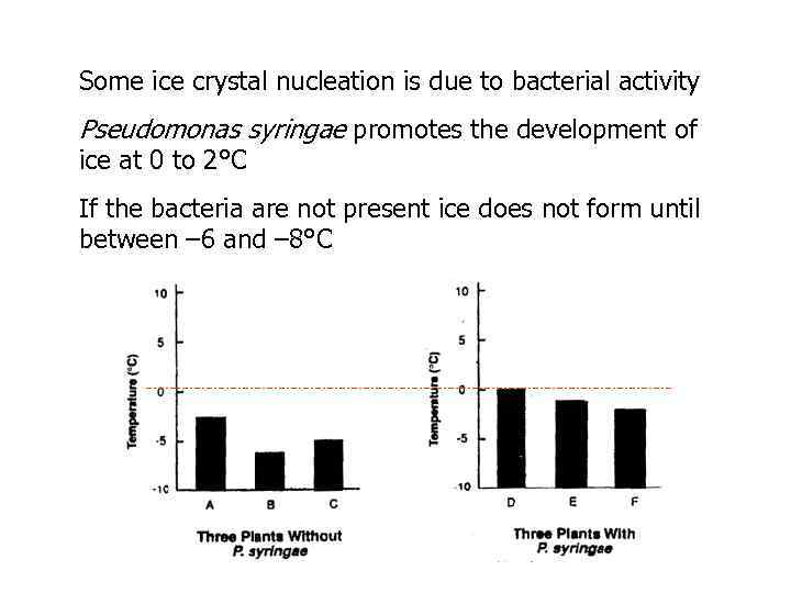 Some ice crystal nucleation is due to bacterial activity Pseudomonas syringae promotes the development