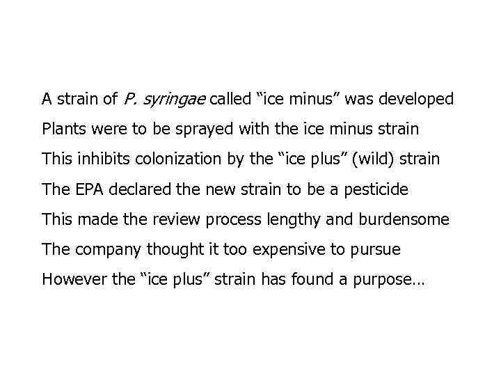 A strain of P. syringae called “ice minus” was developed Plants were to be