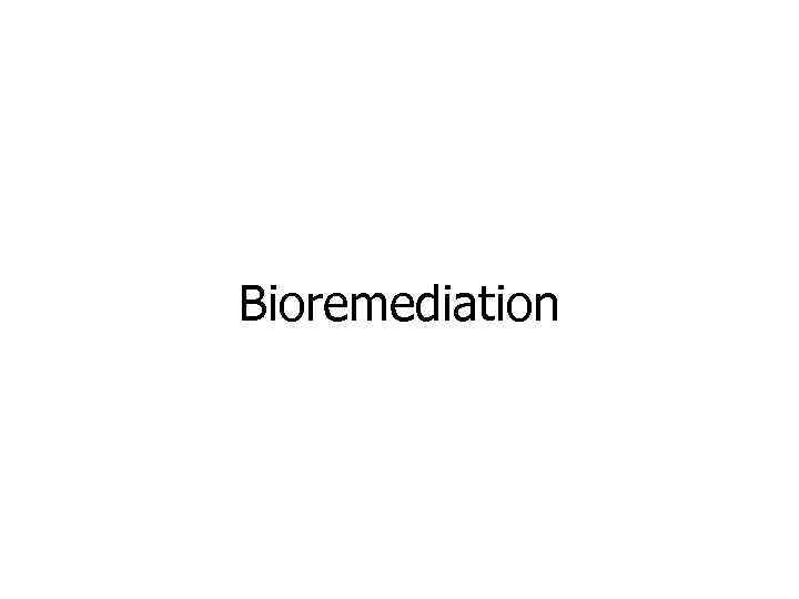 Bioremediation 