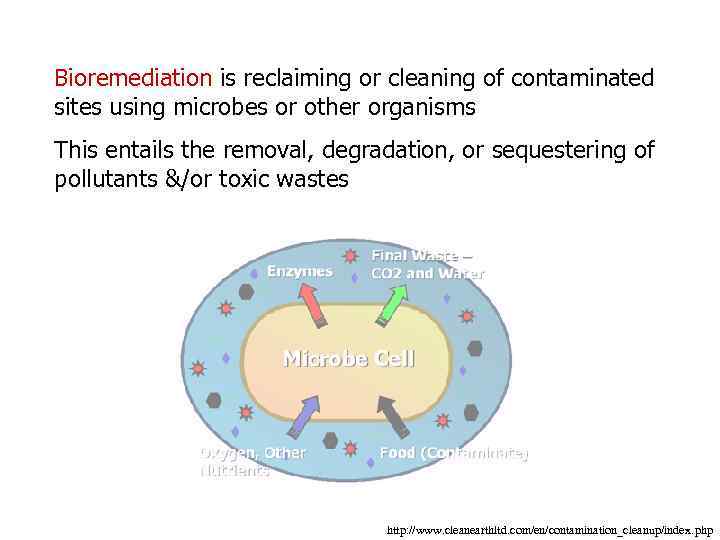 Bioremediation is reclaiming or cleaning of contaminated sites using microbes or other organisms This