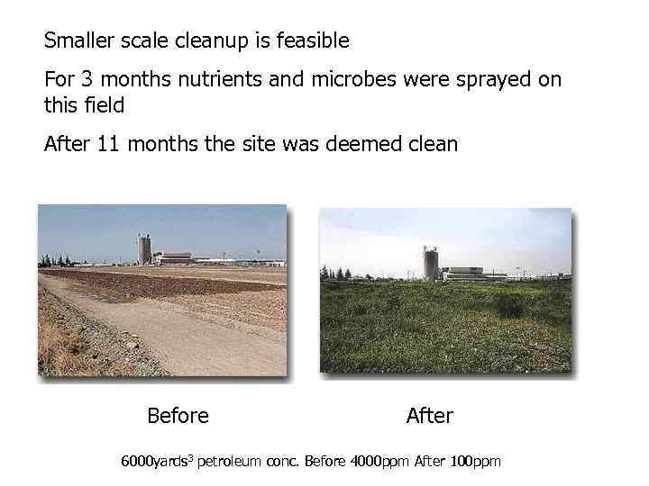 Smaller scale cleanup is feasible For 3 months nutrients and microbes were sprayed on