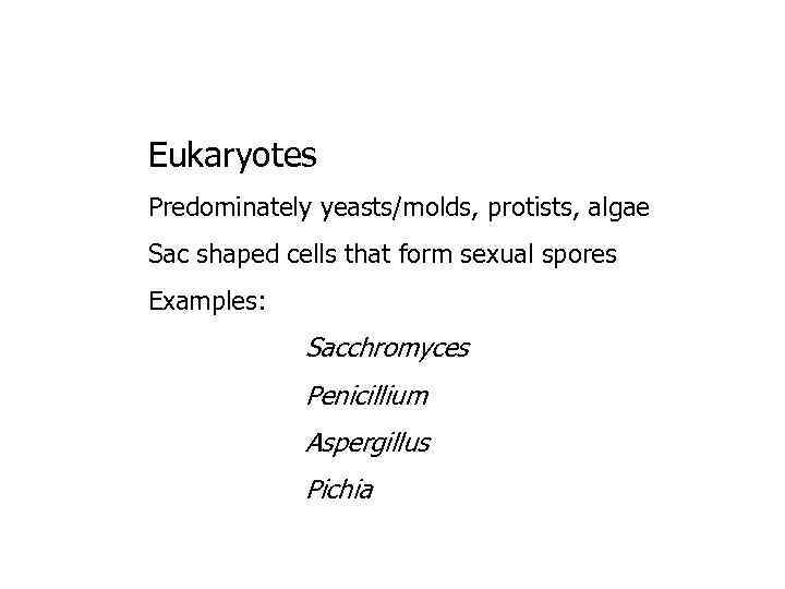 Eukaryotes Predominately yeasts/molds, protists, algae Sac shaped cells that form sexual spores Examples: Sacchromyces