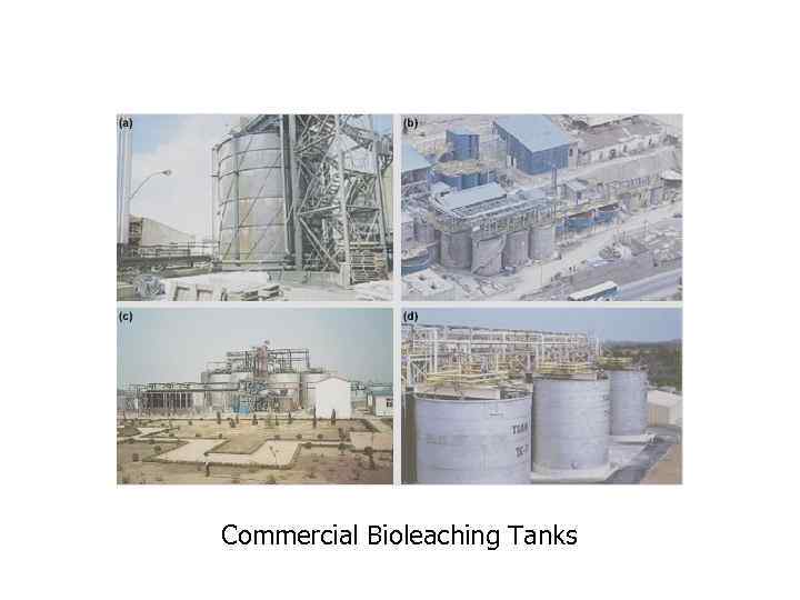 Commercial Bioleaching Tanks 