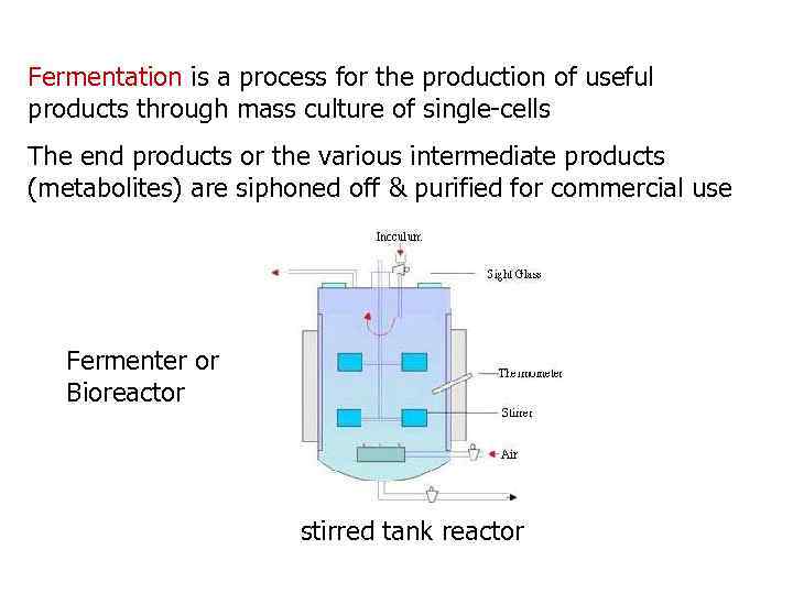 Fermentation is a process for the production of useful products through mass culture of