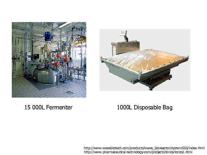 15 000 L Fermenter 1000 L Disposable Bag http: //www. wavebiotech. com/products/wave_bioreactor/system 500/index. html