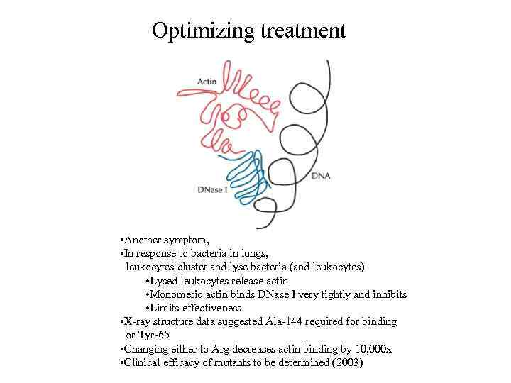 Optimizing treatment • Another symptom, • In response to bacteria in lungs, leukocytes cluster