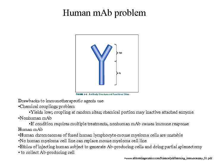 Human m. Ab problem Drawbacks to immunotherapeutic agents use • Chemical couplings problem •