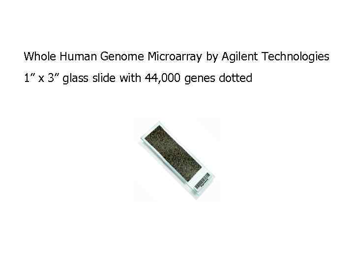 Whole Human Genome Microarray by Agilent Technologies 1” x 3” glass slide with 44,