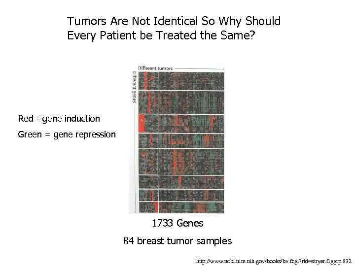 Tumors Are Not Identical So Why Should Every Patient be Treated the Same? Red