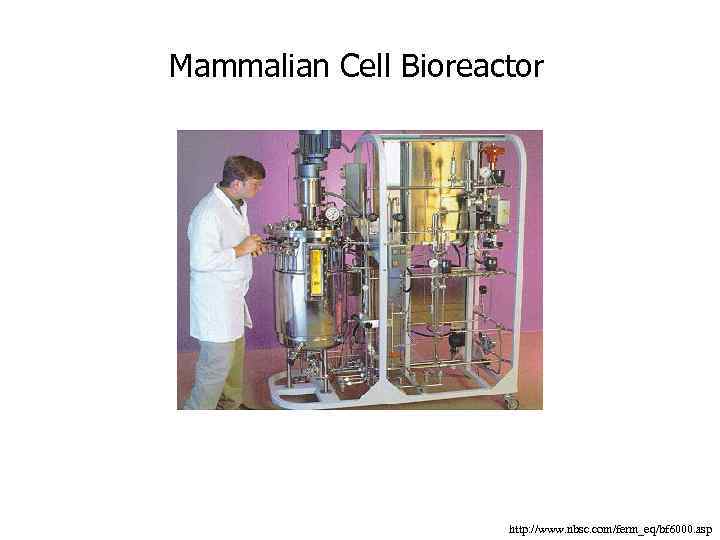 Mammalian Cell Bioreactor http: //www. nbsc. com/ferm_eq/bf 6000. asp 