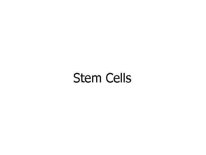 Stem Cells 