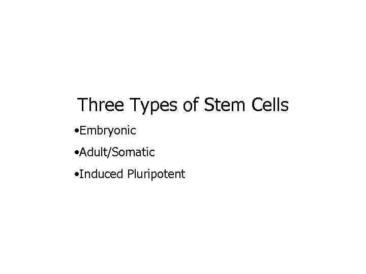 Three Types of Stem Cells • Embryonic • Adult/Somatic • Induced Pluripotent 