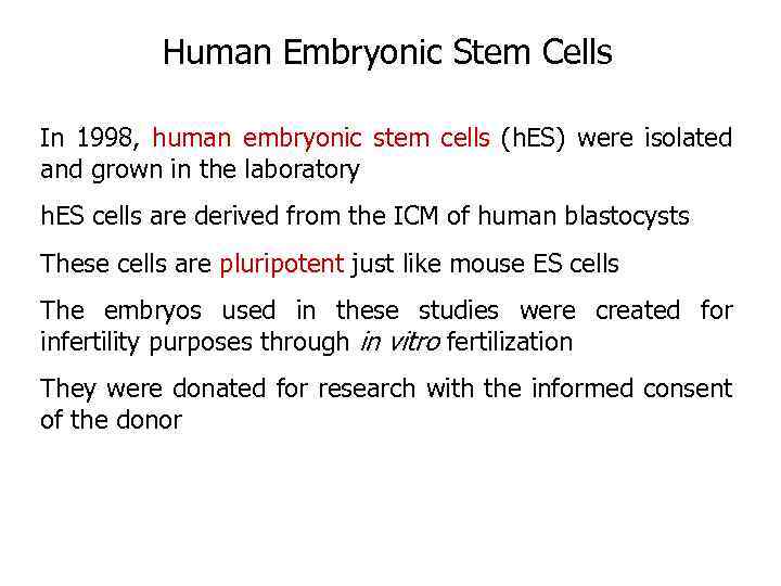 Human Embryonic Stem Cells In 1998, human embryonic stem cells (h. ES) were isolated