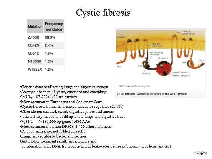 Cystic fibrosis • Genetic disease affecting lungs and digestive system • Average life span