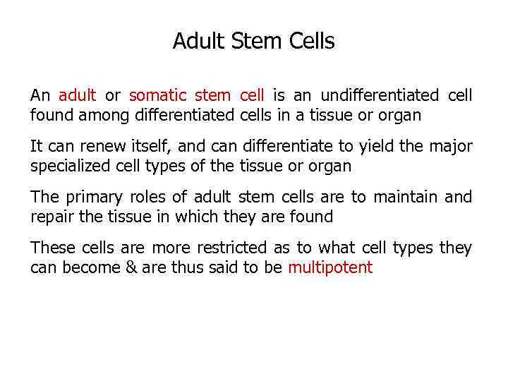 Adult Stem Cells An adult or somatic stem cell is an undifferentiated cell found