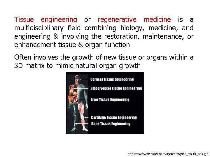 Tissue engineering or regenerative medicine is a multidisciplinary field combining biology, medicine, and engineering