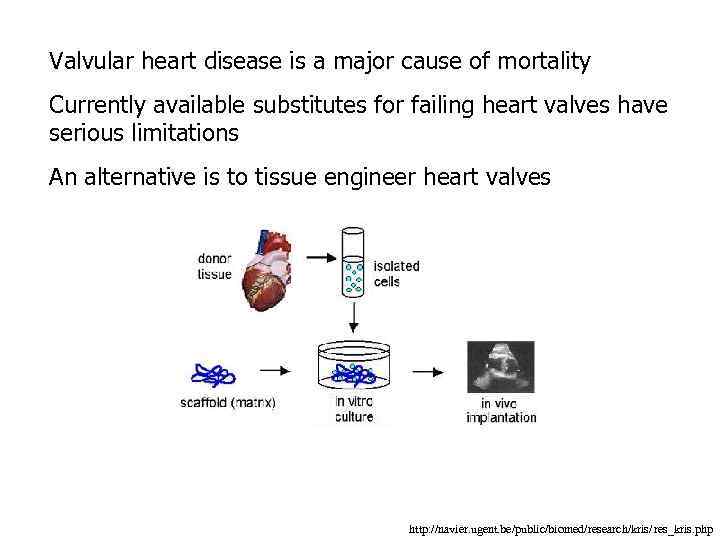 Valvular heart disease is a major cause of mortality Currently available substitutes for failing