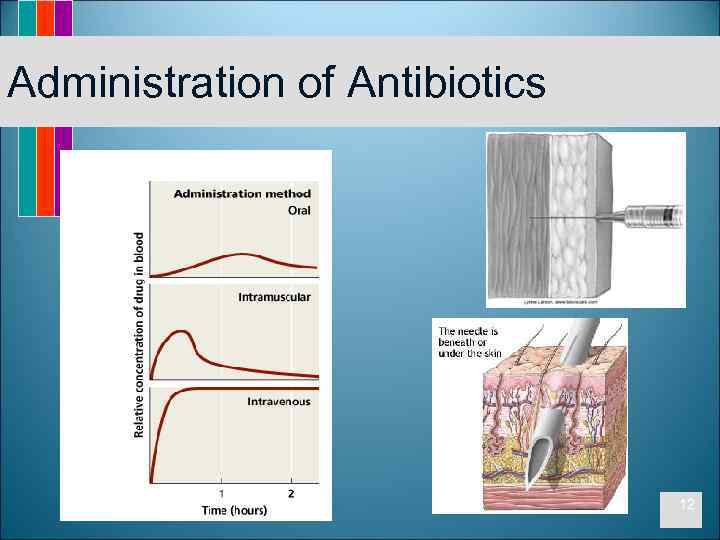 Administration of Antibiotics 12 