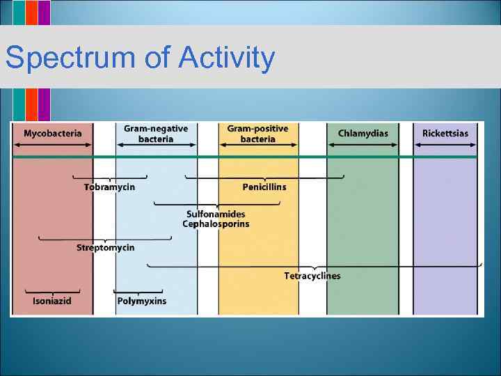 Spectrum of Activity 