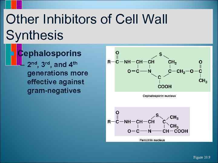 Other Inhibitors of Cell Wall Synthesis n Cephalosporins – 2 nd, 3 rd, and