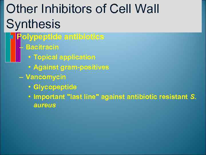 Other Inhibitors of Cell Wall Synthesis n Polypeptide antibiotics – Bacitracin • Topical application