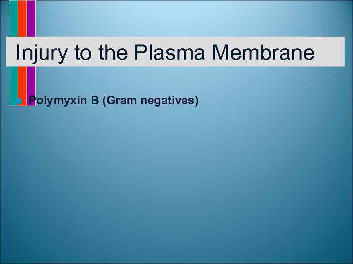 Injury to the Plasma Membrane n Polymyxin B (Gram negatives) 