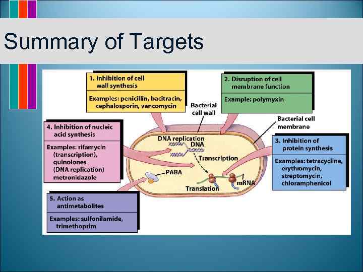 Summary of Targets 