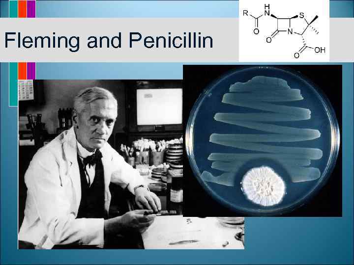 Fleming and Penicillin 