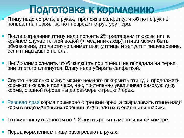 Подготовка к кормлению Птицу надо согреть, в руках, проложив салфетку, чтоб пот с рук