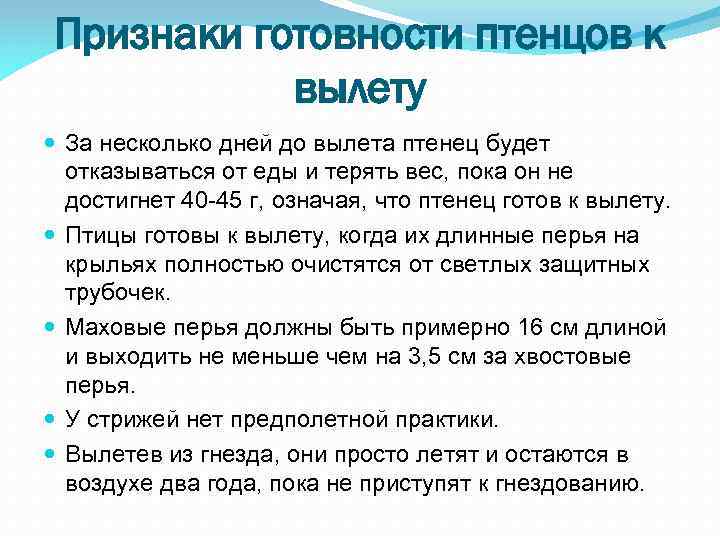 Признаки готовности птенцов к вылету За несколько дней до вылета птенец будет отказываться от