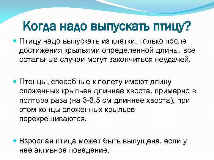 Когда надо выпускать птицу? Птицу надо выпускать из клетки, только после достижения крыльями определенной