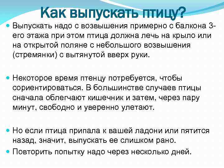 Как выпускать птицу? Выпускать надо с возвышения примерно с балкона 3 его этажа при