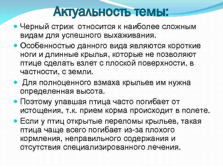 Актуальность темы: Черный стриж относится к наиболее сложным видам для успешного выхаживания. Особенностью данного