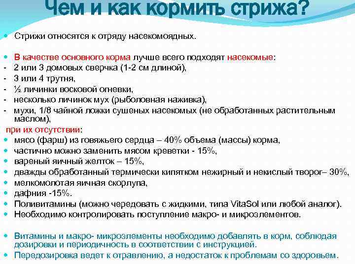 Чем и как кормить стрижа? Стрижи относятся к отряду насекомоядных. В качестве основного корма