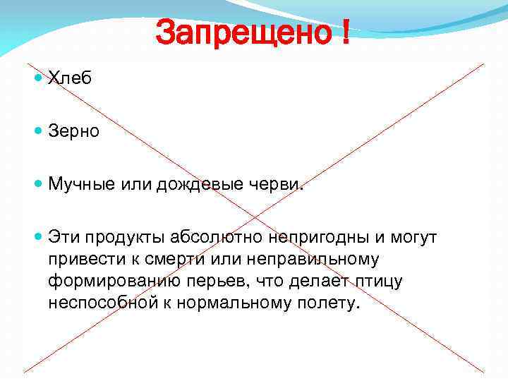 Запрещено ! Хлеб Зерно Мучные или дождевые черви. Эти продукты абсолютно непригодны и могут