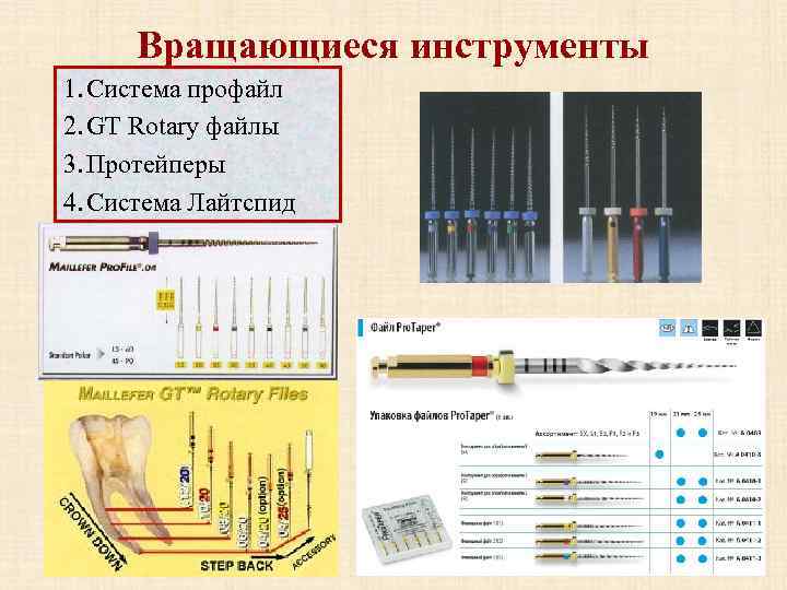 Микробиология в эндодонтии презентация