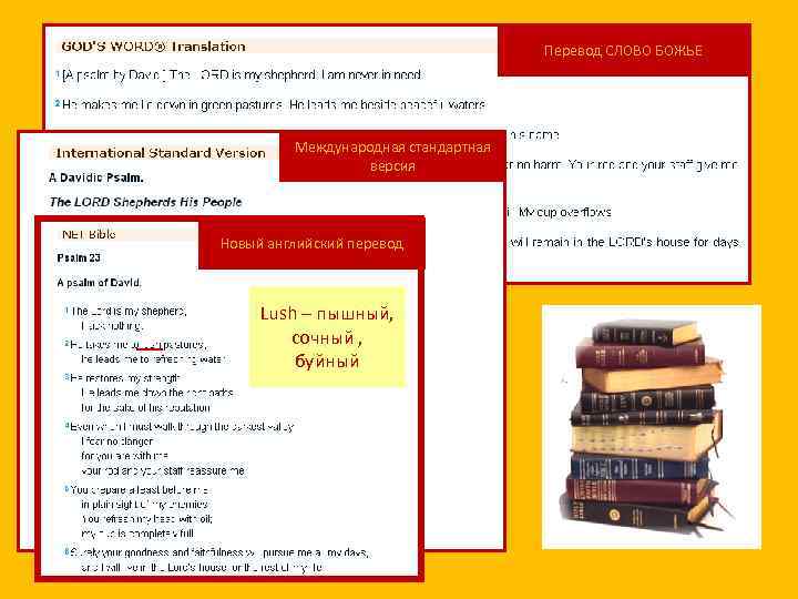 Перевод СЛОВО БОЖЬЕ Международная стандартная версия Новый английский перевод Lush – пышный, сочный ,