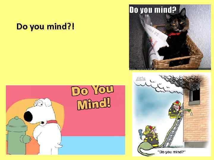 Do you mind? ! 