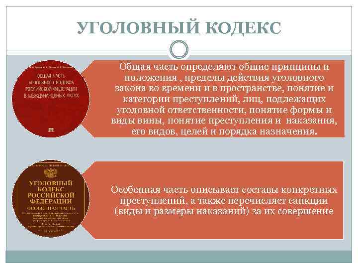 УГОЛОВНЫЙ КОДЕКС Общая часть определяют общие принципы и положения , пределы действия уголовного закона