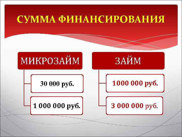 СУММА ФИНАНСИРОВАНИЯ МИКРОЗАЙМ 30 000 руб. 1000 руб. 1 000 руб. 3 000 руб.