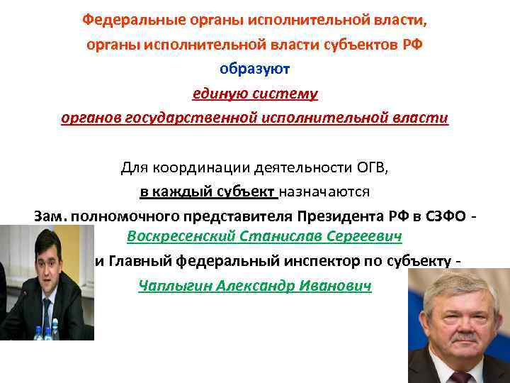 Федеральные органы исполнительной власти, органы исполнительной власти субъектов РФ образуют единую систему органов государственной